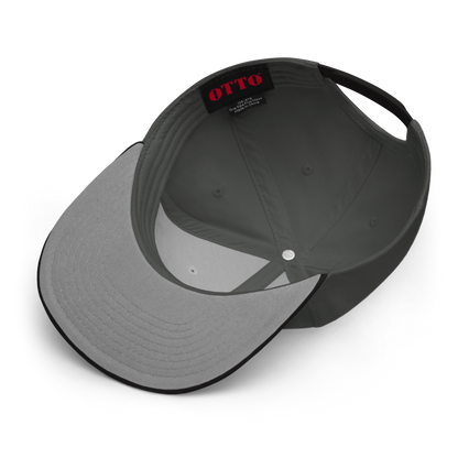 DD Red Blue Logo Snapback Hat GREY